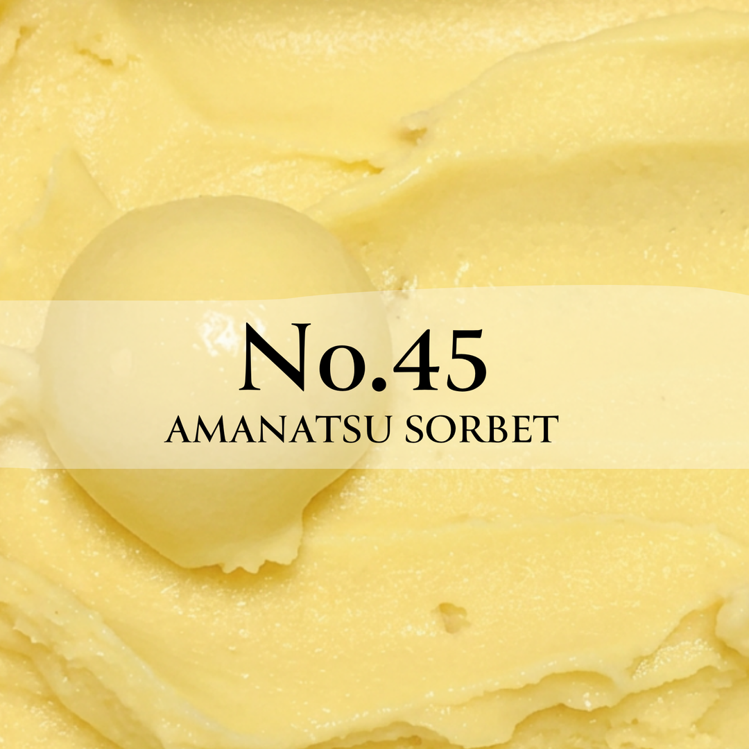 【YOUR CHOICE専用】No.45 有機甘夏ソルベ